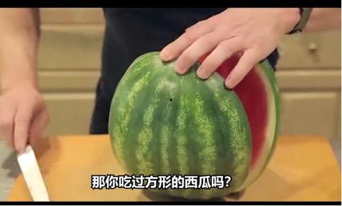 吃瓜的mc,揭秘虚拟与现实交织的奇幻之旅