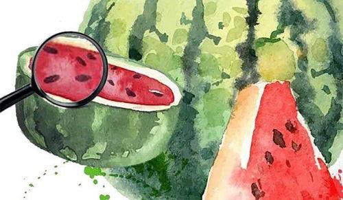 关注吃瓜图片,吃瓜群众视角下的娱乐圈风云录