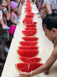 吃瓜小能手198706,吃瓜小能手见证的那些风云变幻