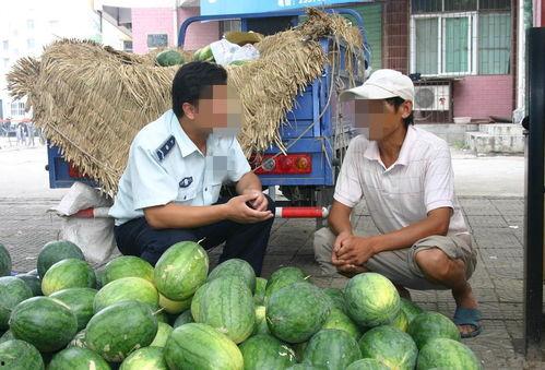许昌吃瓜关系图,一场城市人际关系的狂欢