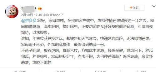 吃瓜古文,穿越时空的趣味古文解读