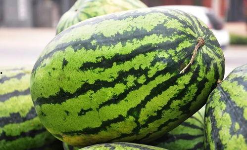 暖心吃瓜群众,见证娱乐圈的喜怒哀乐