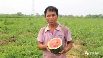 吃瓜群众赶紧回家,赶紧回家，揭秘背后的故事