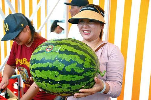 开心吃大瓜,揭秘娱乐圈那些鲜为人知的幕后故事